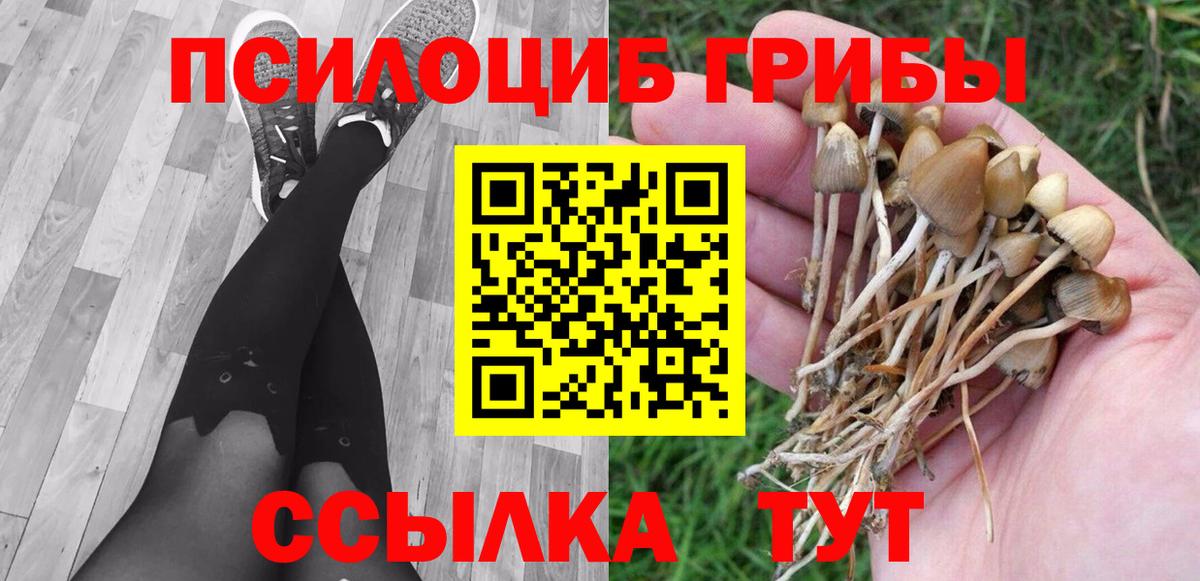 Галлюциногенные грибы прущие грибы Новосибирск