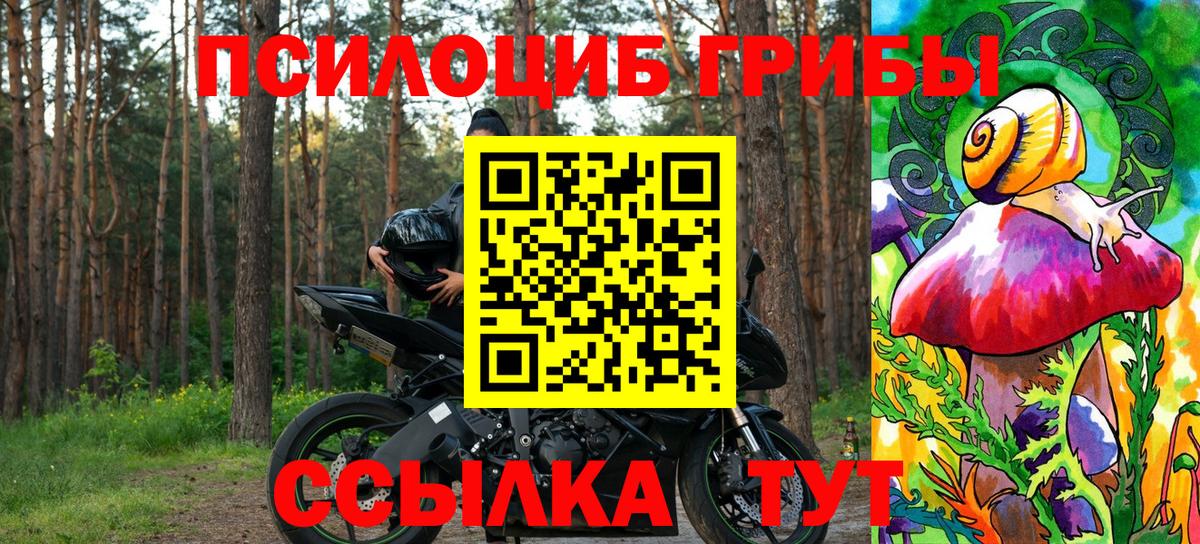 Новосибирск  Галлюциногенные грибы мухоморы  Вход с VPN  Псилоцибиновые грибы GOLDEN TEACHER 